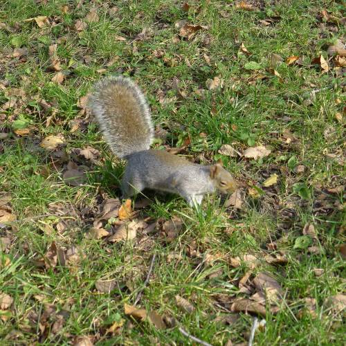 USA_2011-11-20 13-34-29